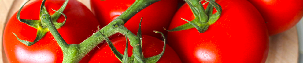 Fruvetta Fruits